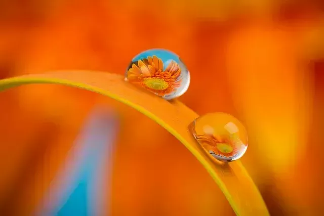 RAYO ?? A expanded visual arts festival identity