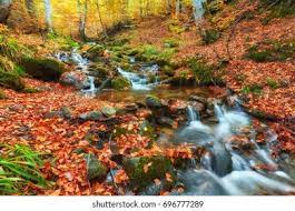 Inside the Mind of Samuel Day