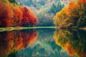 How to Animate a SVG with border-image