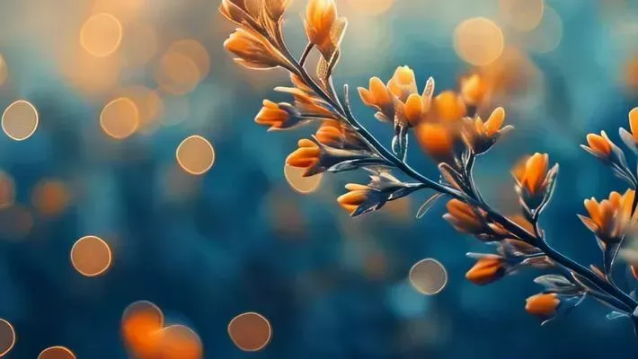 40 Free Serif Fonts for Digital Designers